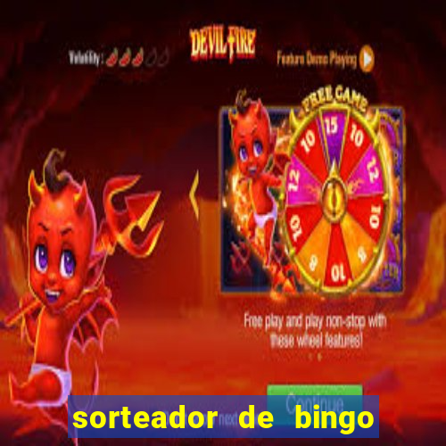 sorteador de bingo 90 bolas online